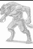 Image result for Scary Wolf Animal Drawings Easy