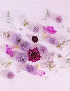 Image result for Pretty Pastel Purple Backgrounds