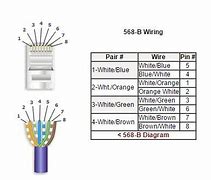 Image result for Cat6 Cable Color