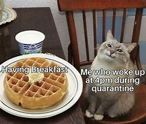 Image result for Thanks for Breakfast Meme