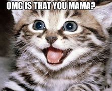 Image result for Amazed Cat Meme