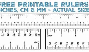 Image result for Centameter Ruler