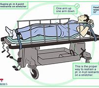 Image result for Physical and Chemical Restraints