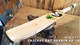 Image result for Broken Cricket Bat