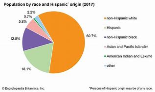 Image result for Ethnicity Pie-Chart