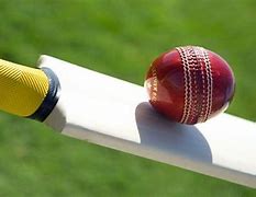 Image result for Cricket Aesthetic Wallpaper