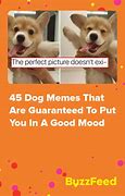 Image result for Sassy Dog Meme