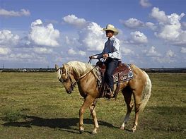 Image result for Cowboy and Horse