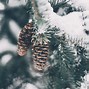 Image result for Rustic Winter Wallpaper