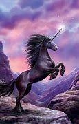 Image result for Black Unicorn