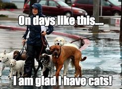 Image result for Rainy Day Dog Meme