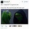 Image result for Pepe the Frog Funny
