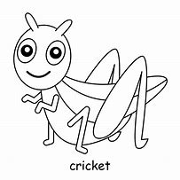 Image result for Cricket Animal Outline
