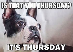 Image result for Thursday Work Meme Puppy