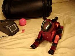Image result for Aibo 210