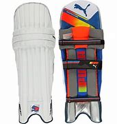 Image result for Puma Cricket Pads