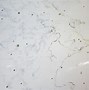 Image result for Horsehead Nebula Art