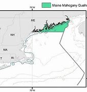 Image result for Quahog Range Map