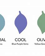 Image result for Vein and Skin Tone Color