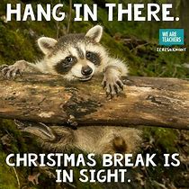 Image result for Hang in There Teachers Meme