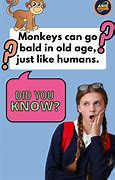Image result for Did You Know Facts
