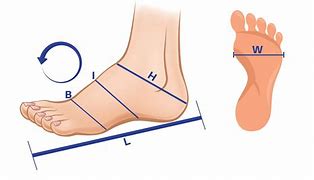 Image result for How Long Is a Foot Measurement