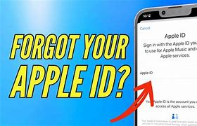 Image result for How to Find Apple ID A1387