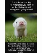 Image result for Are Chain Mails Scary