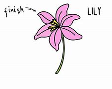 Image result for Pink Flower Drawing Cartoon