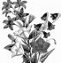 Image result for Victorian Floral Clip Art Black and White