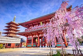 Image result for Cool Places to Visit in Tokyo Japan