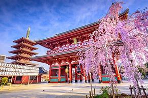 Image result for Top Places to Visit in Japan