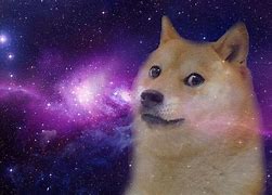 Image result for This Is Dog Meme
