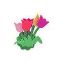 Image result for Holland Tulips Bouquet