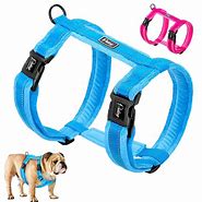 Image result for No Pull Pitbull Harness