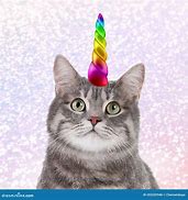 Image result for Rainbow Unicorn Kitten