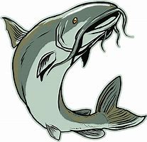 Image result for Free Blue Catfish Clip Art