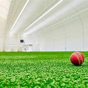 Image result for Wildcatz Indoor Cricket