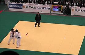 Image result for Women Judo Throws
