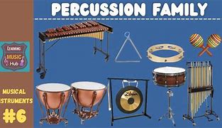 Image result for Percussion Instruments in an Orchestra