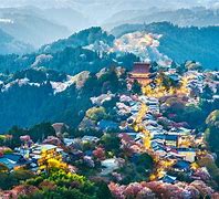 Image result for Japan City with Park