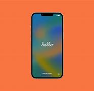 Image result for iPhone 11 Setup Guide