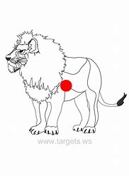 Image result for Printable Lion King Targets