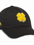 Image result for Iowa Clover Kids