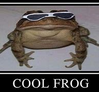 Image result for Buff Toad Meme