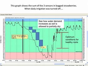 Image result for Potato Battery Graph