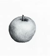 Image result for Pencil Sketch of Apple