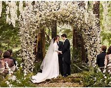 Image result for Twilight Breaking Dawn Part 1 Wedding