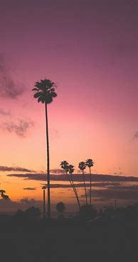 Image result for Aesthetic Phone Backgrounds Pinterest