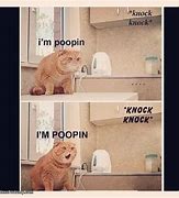 Image result for Cat Poop Jokes